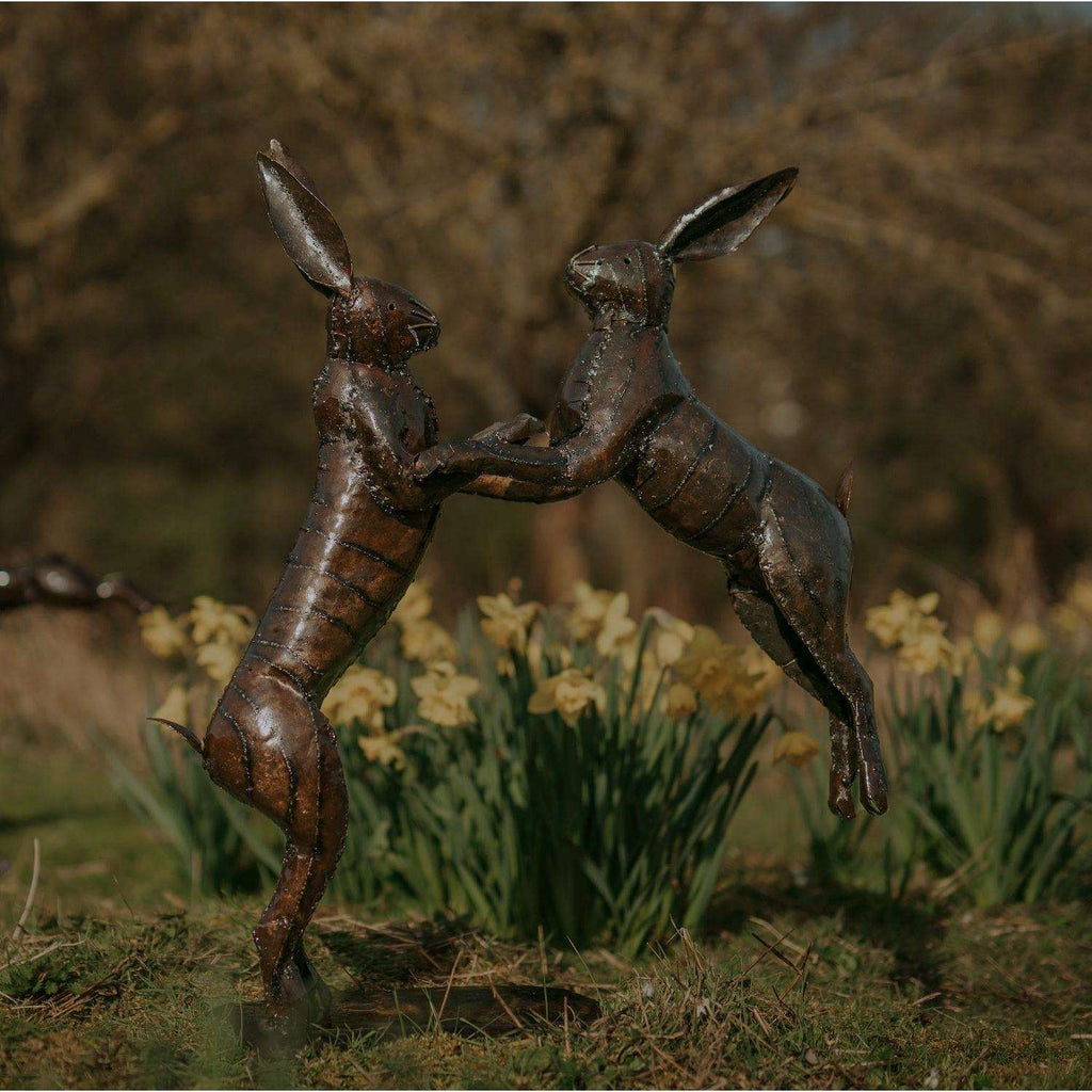 Boxing Hares