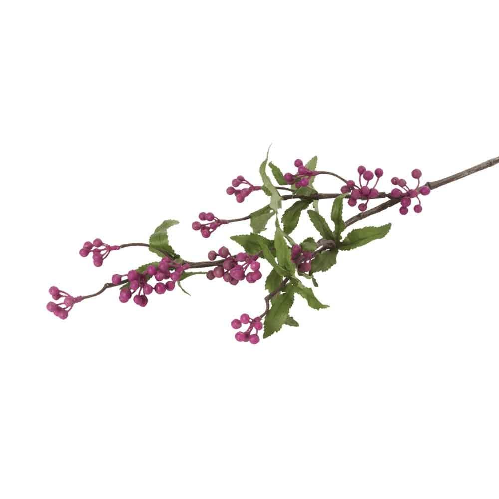 Callicarpa Stem in Rouge