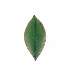 Ceramic Green Laurel Leaf