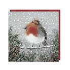 Christmas Pudding, Pack of 6 Christmas Cards