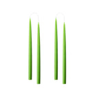 Colourful 35cm Taper Candles - 4 per gift boxa Light Green