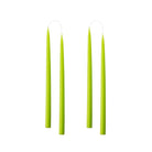 Colourful 35cm Taper Candles - 4 per gift boxa Lime