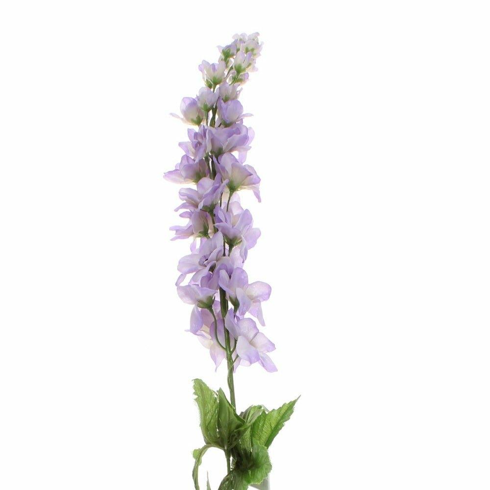 Delphinium, Lavender