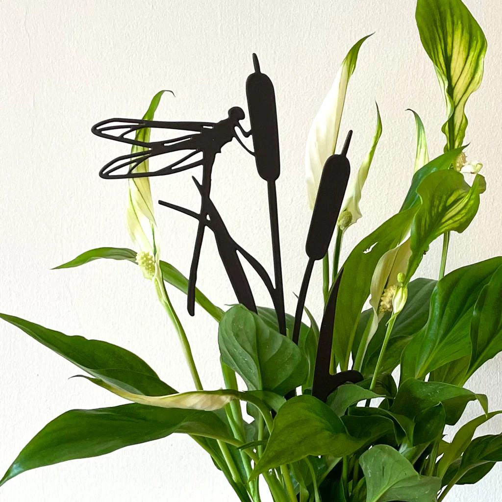 Dragonfly Resting on a Bullrush Pot Stem