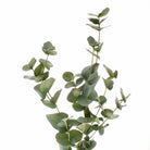 Eucalyptus Spray 90cm