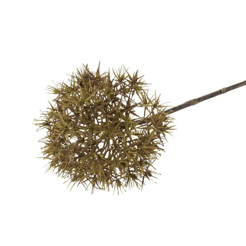 Faux Allium in Sage