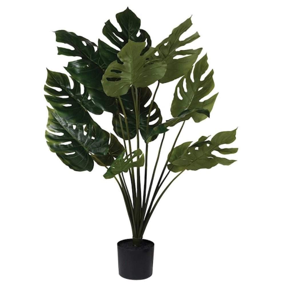 Faux Green Monstera Plant - Angela Reed -