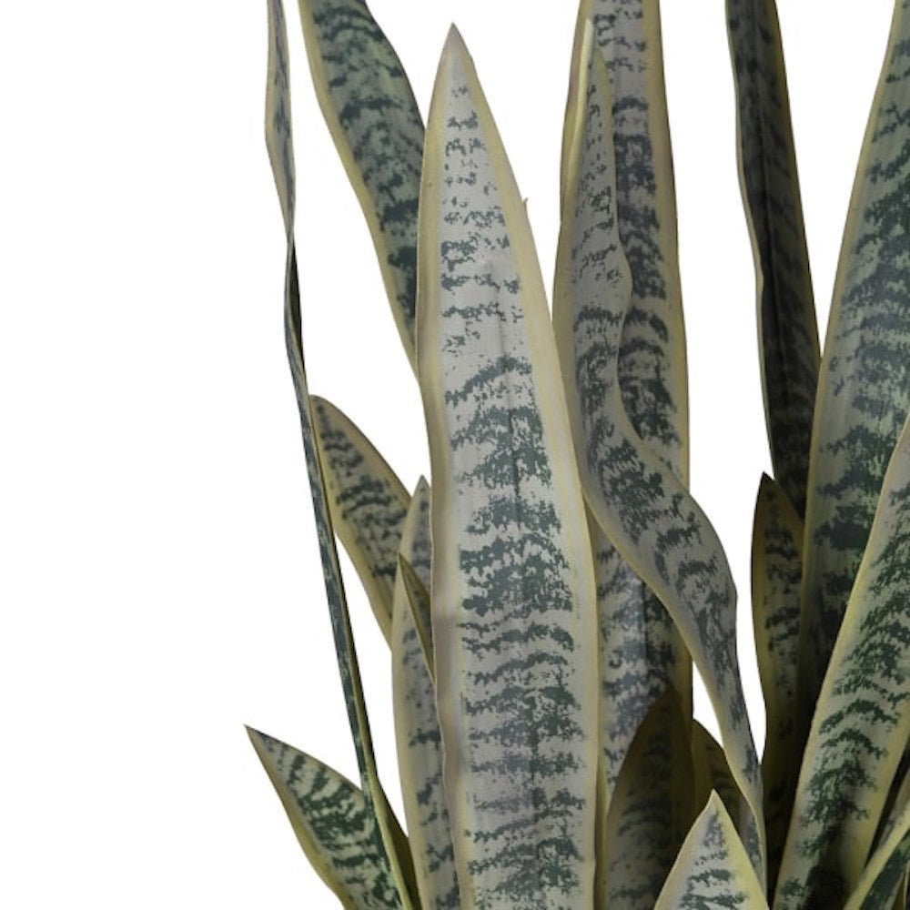 Faux Sansevieria Plant - Angela Reed -