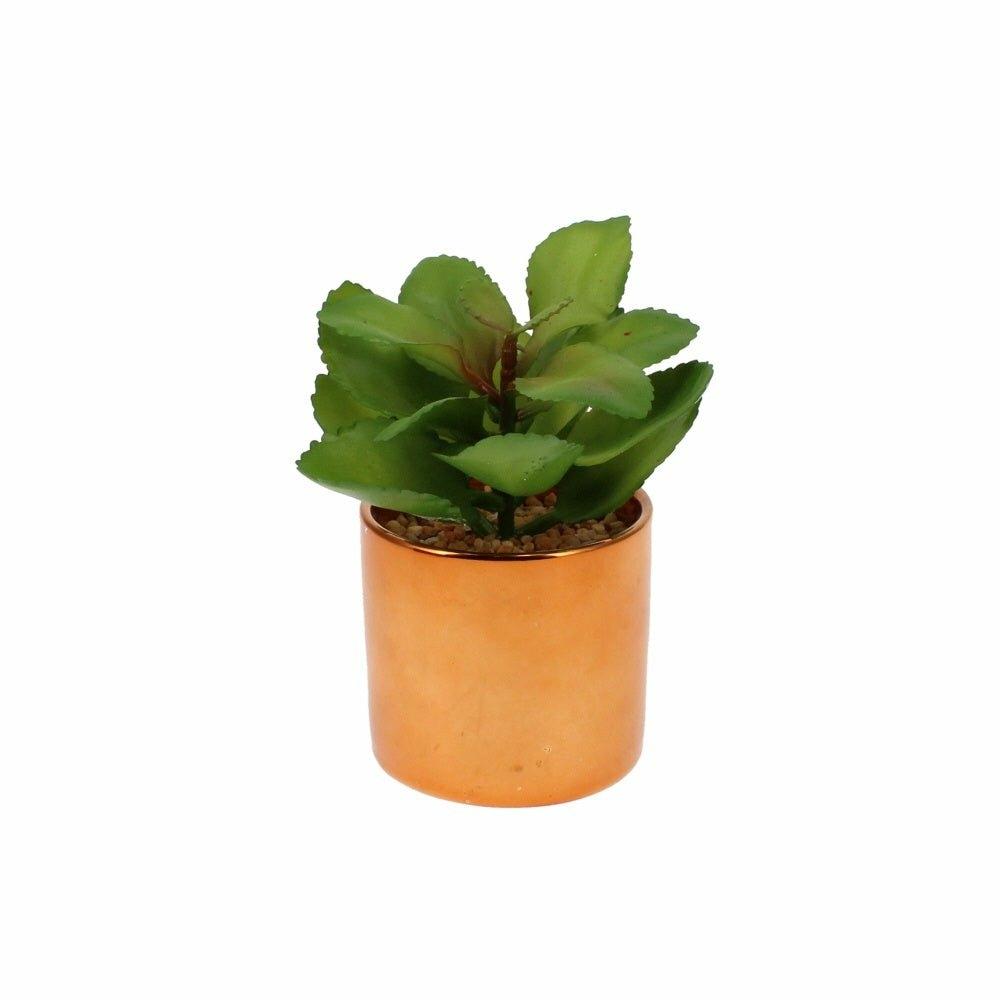 Faux Succulents in Copper Pots