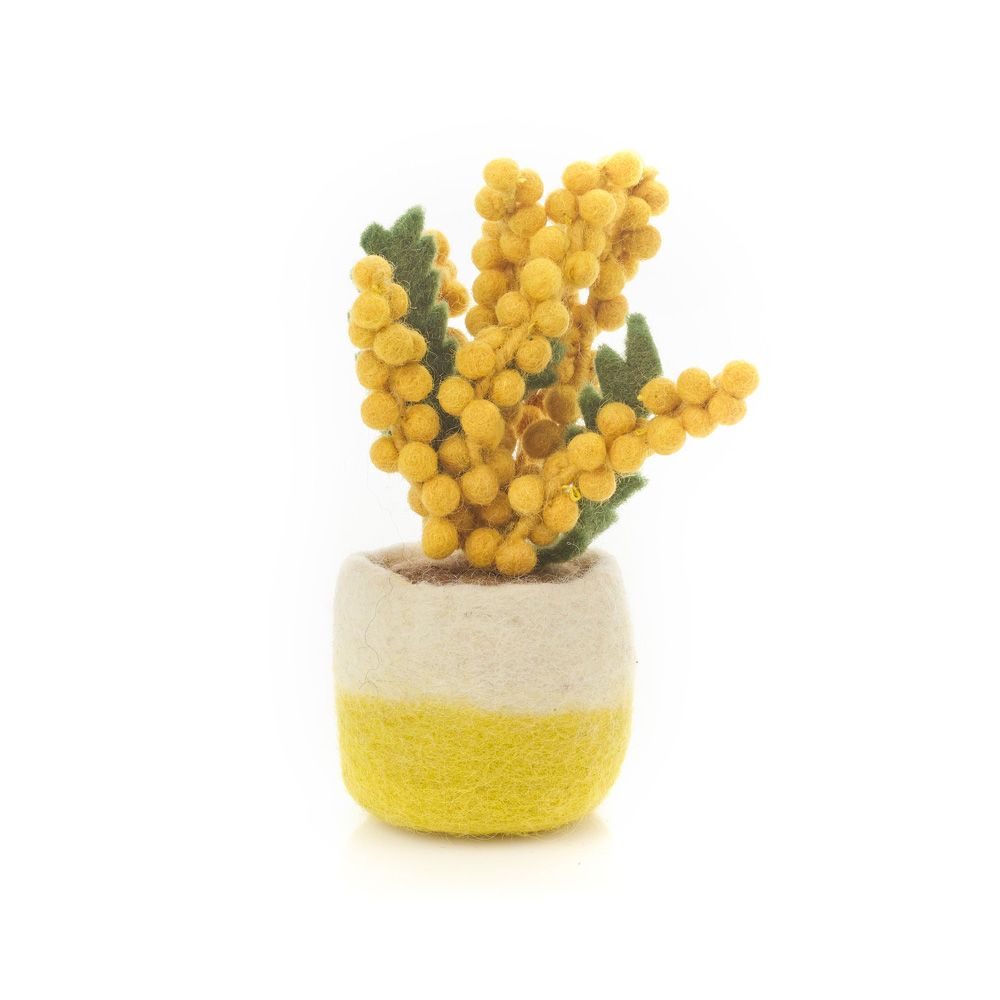 Felt Houseplant Cactus Decorations, Assorted - Angela Reed -