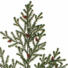 Frosted Pine Spray
