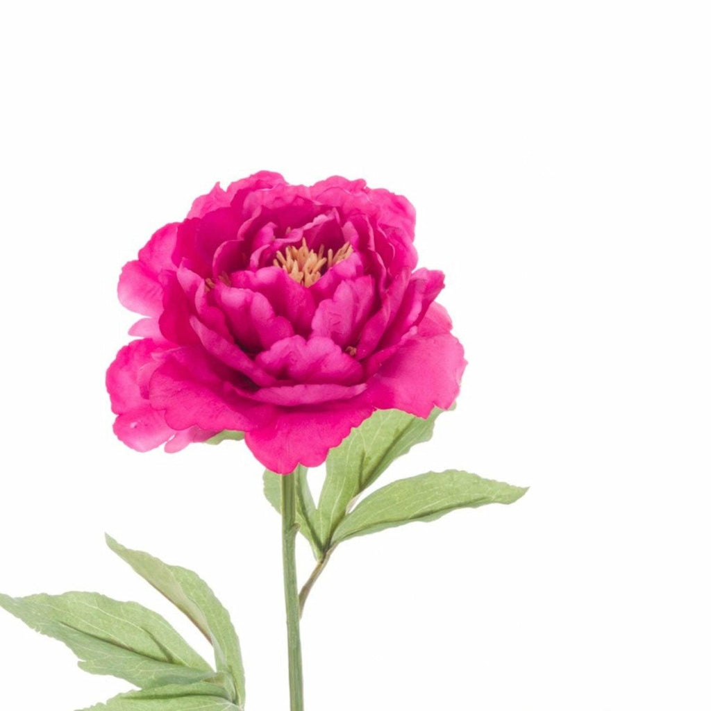 Fuchsia Peony Spray