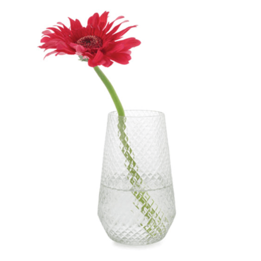 Glass Vase Medium