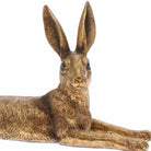 Golden Hare