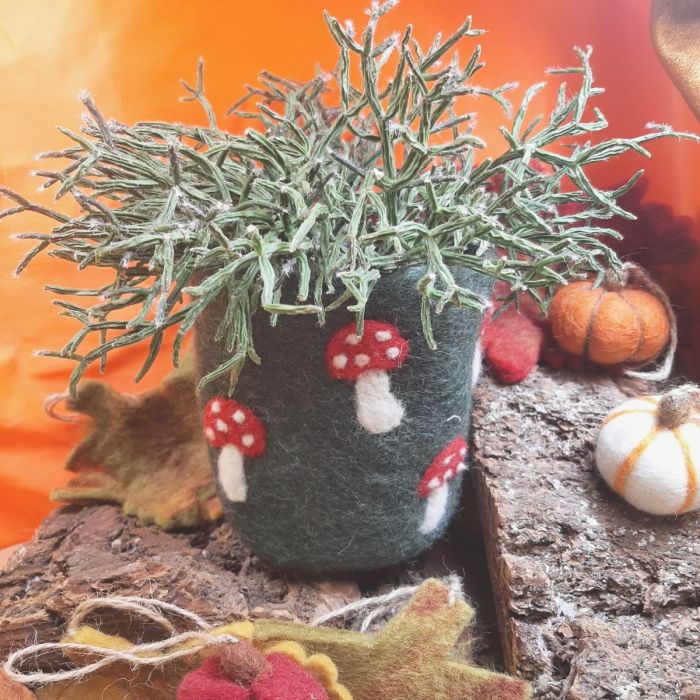 Handmade Felt Toadstool Plant Pot - Angela Reed -