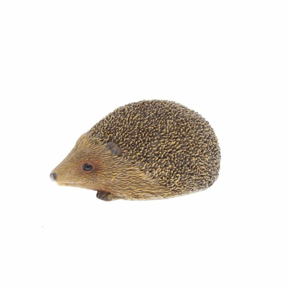 Hedgehog Small