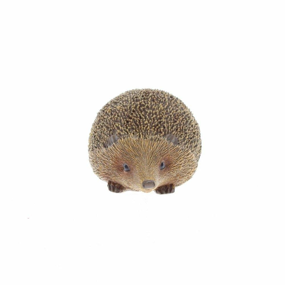 Hedgehog Small
