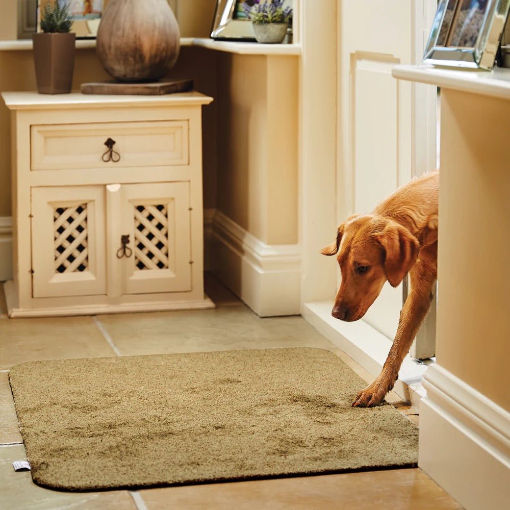 Hug Rug Doormat, Stone 50 x 75cm - Angela Reed -