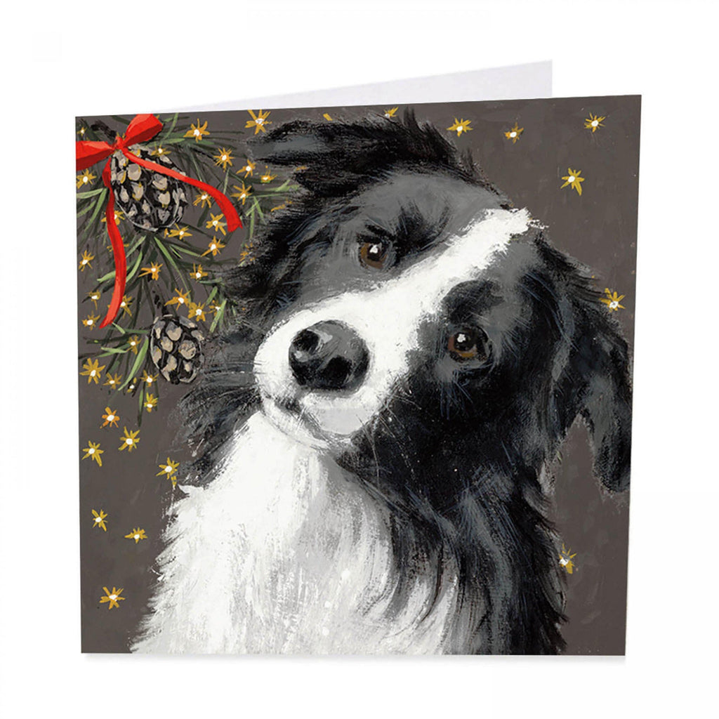 I've Been A Good Boy, Pack of 6 Christmas Cards