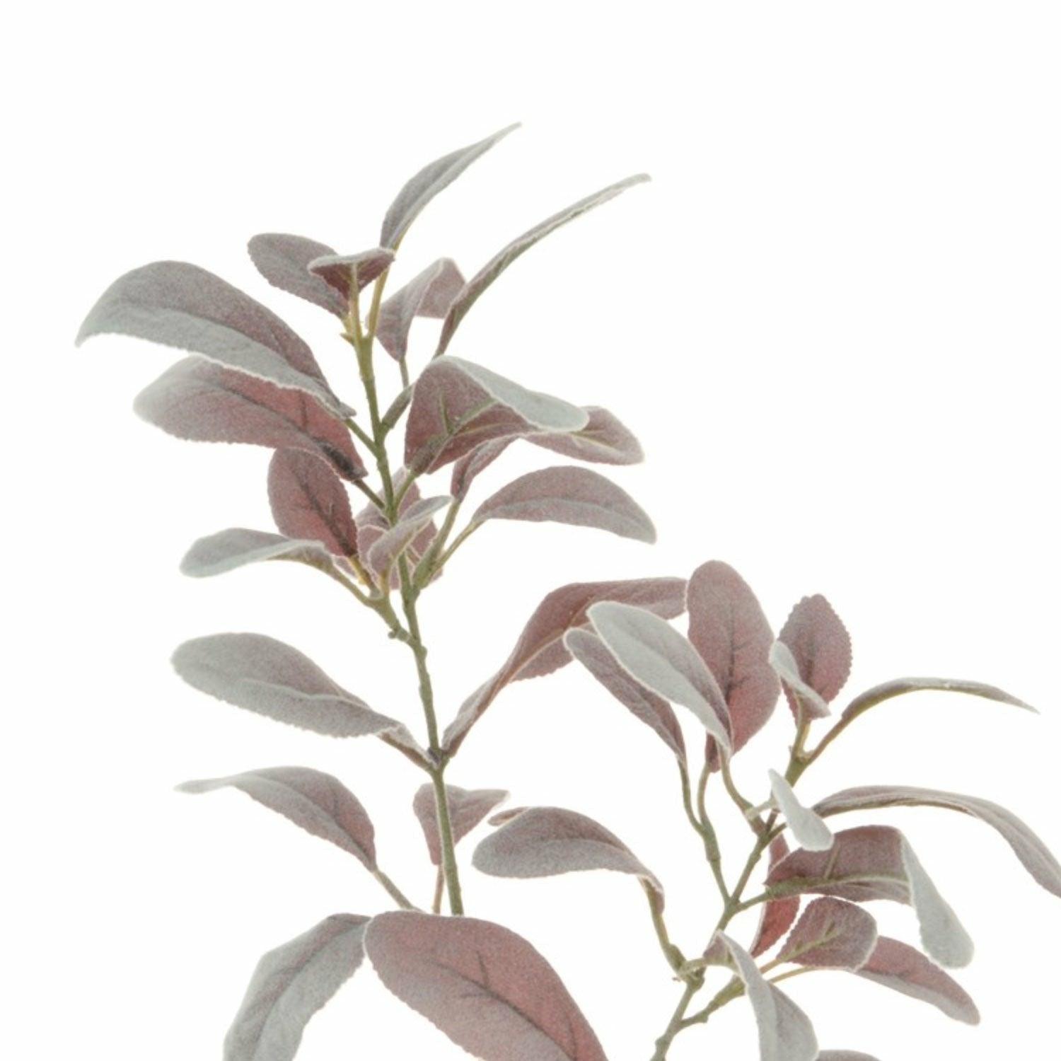 Lambs Ear Spray Dusty Pink