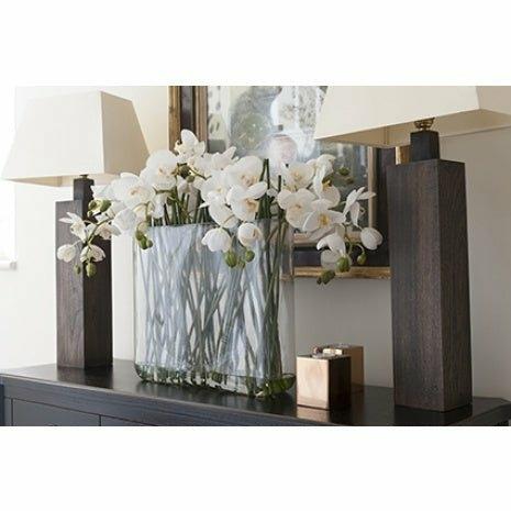Large Phalaenopsis in Glass