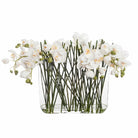 Large Phalaenopsis in Glass