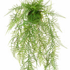 Leather Fern Hanger, 60cm