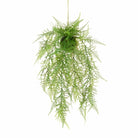 Leather Fern Hanger, 60cm