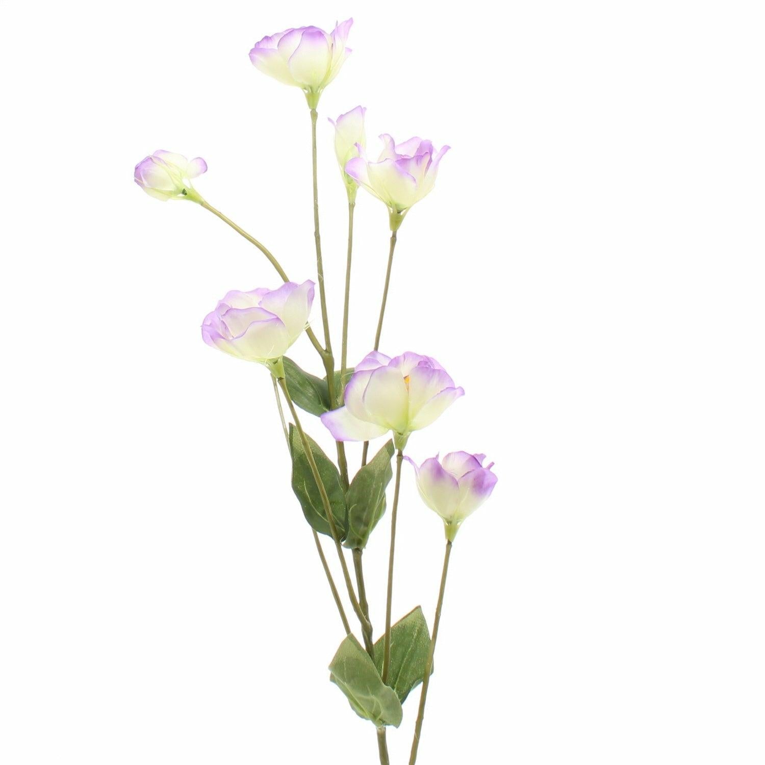Lisianthus Spray 69cm