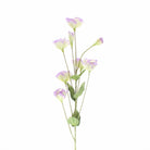 Lisianthus Spray 69cm