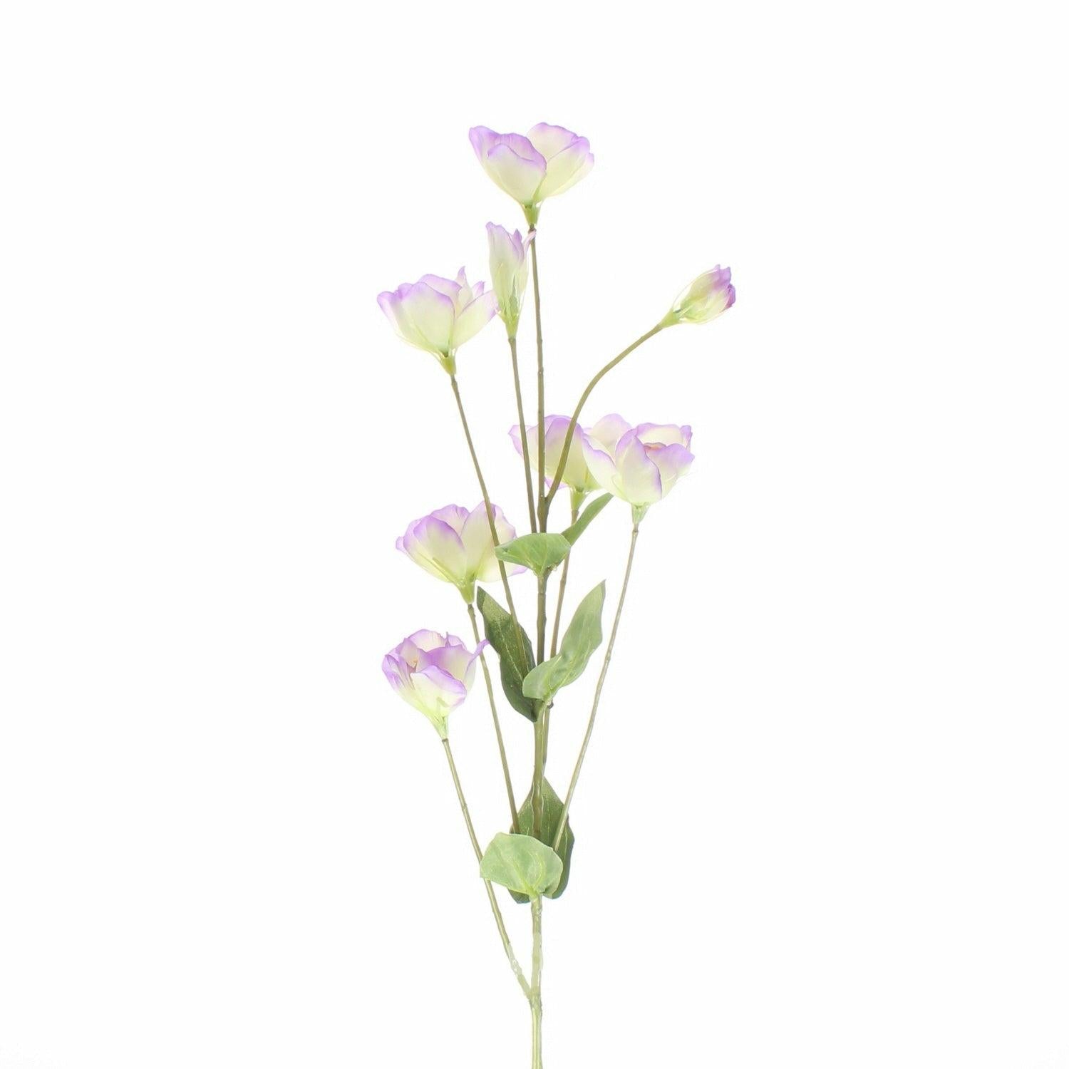 Lisianthus Spray 69cm