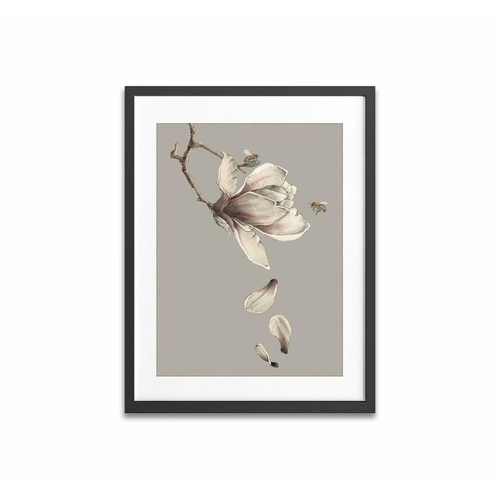 Magnolia Bee framed Print