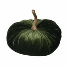 Moss Green Pumpkin
