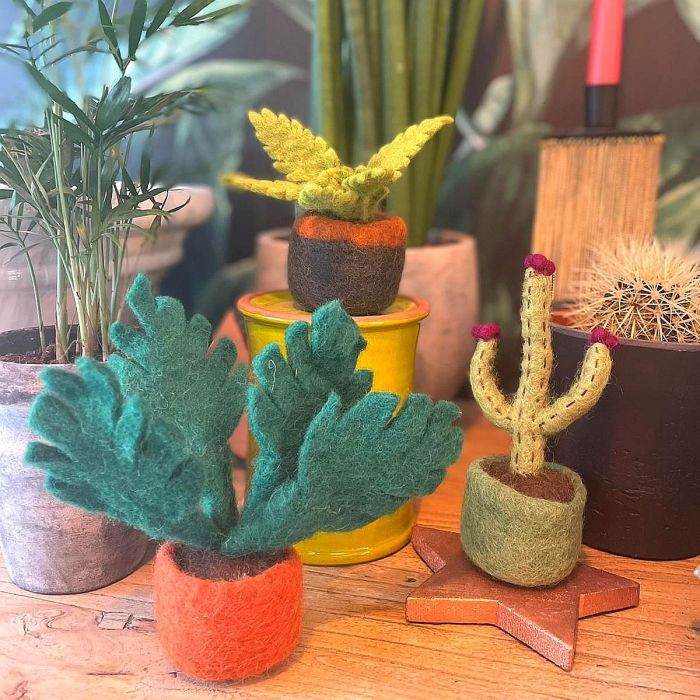 Mini Cactus Decorations, Assorted - Angela Reed -