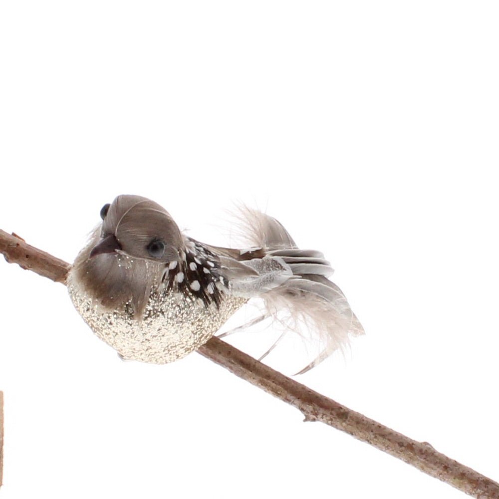 Mini Feather Bird on Clip - Angela Reed - Christmas Decorations