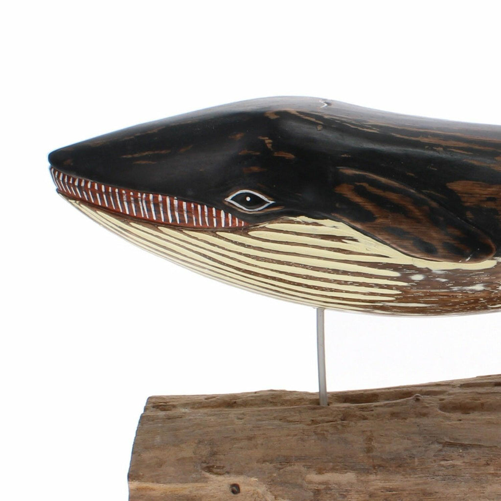 Minke Whale, Large