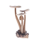 Parasite Wood with Four Mushrooms, Large
