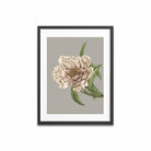 Peony framed Print