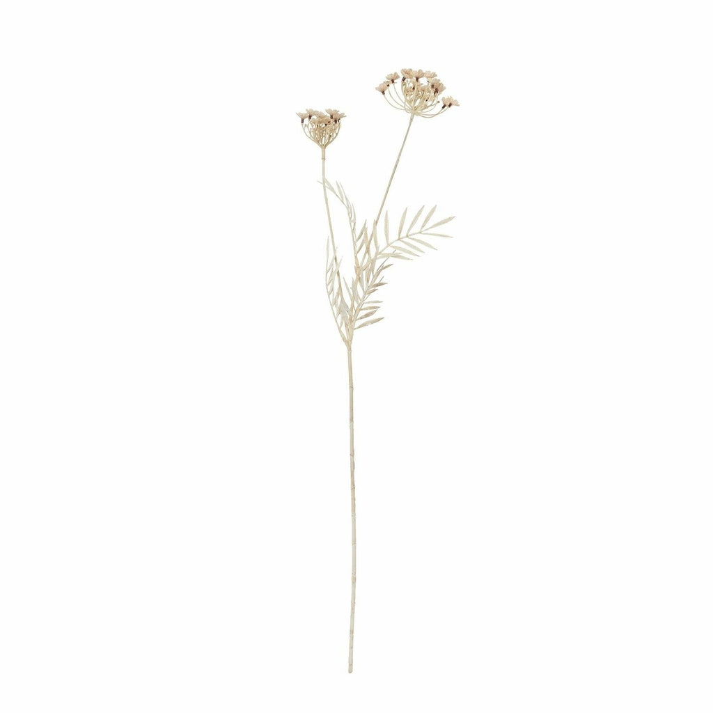 Queen Anne's Lace, Bleached