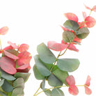 Red & Green Eucalyptus Spray