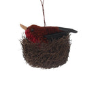 Robin in Nest Decoration