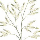 Sea Lavender Spray, Cream