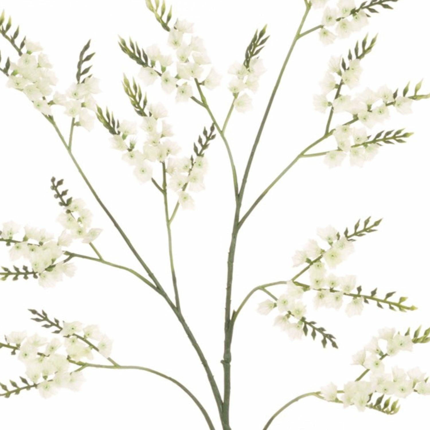 Sea Lavender Spray, Cream