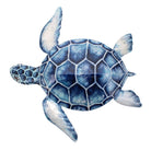 Sea Turtle Wall Art