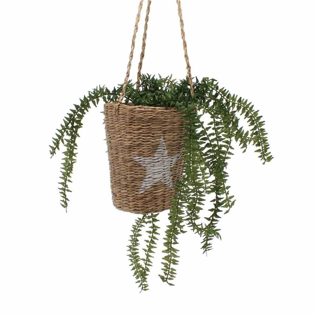 Seagrass Star Hanging Basket