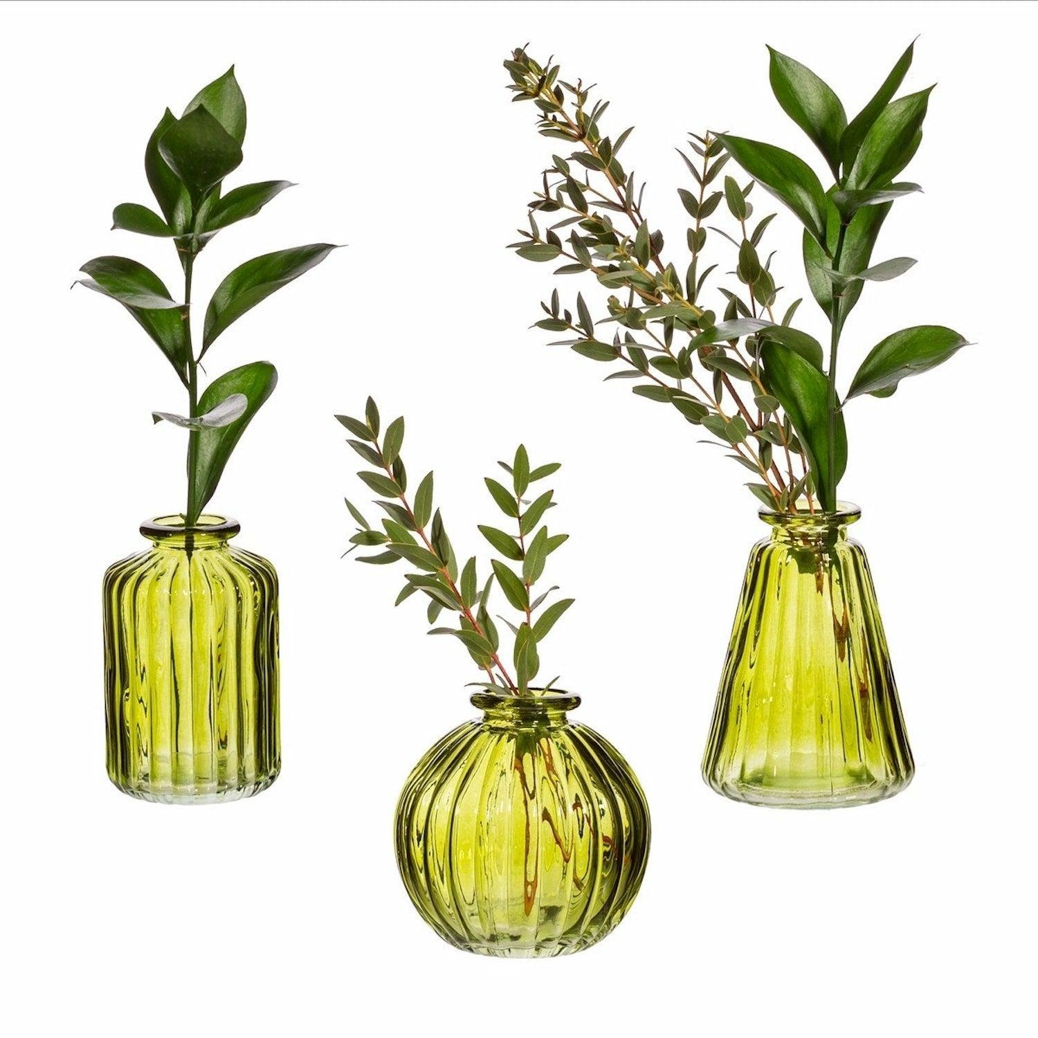 Set of 3 Olive Bud Vases