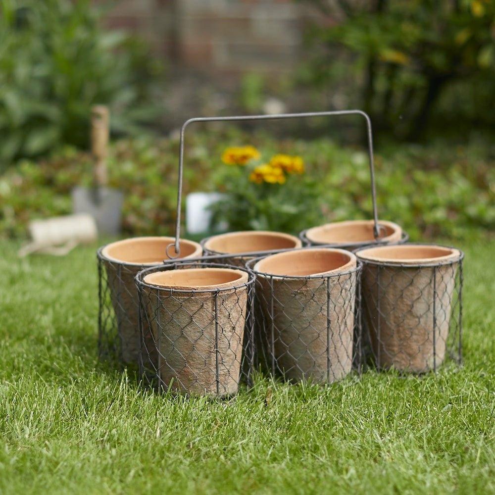 Set of 6 Large Pots in Basket