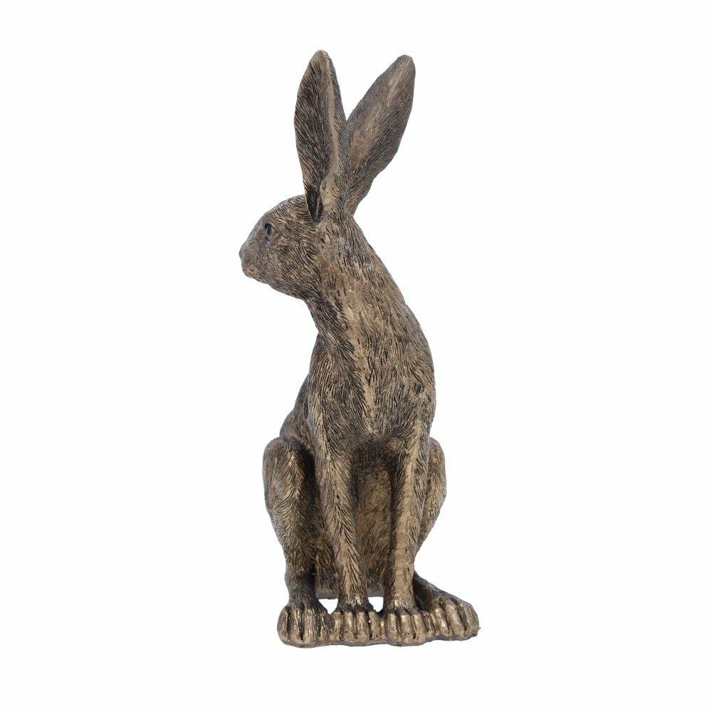 Sitting golden Hare
