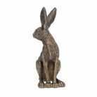Sitting golden Hare