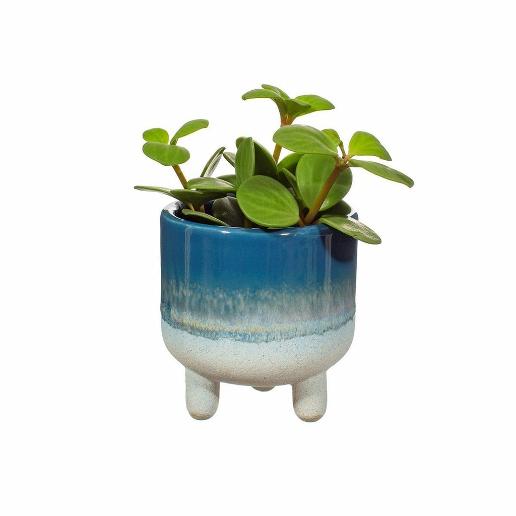 Small Blue Bohemian Glaze Planter